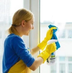 Nettoyant Pour Vitres EcoMoist (500 Ml) - Cleaner Vitres Et Miroirs 100% Naturel - Avec 2 Chiffons En Fibres Extra-fines -Nettoyage Produits Boutique 1195x1200 10