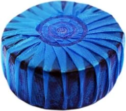 Blocs Sanitaires FreshDisc Bleu 24 Pièces Emballage Annuel Pour Porte-blocs Sanitaires Geberit