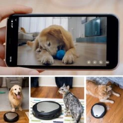 Trifo Ollie Pet - Aspirateur Robot Avec IA Et Assainisseur D'air Intégré - Convient à Tous Les Types De Poils, Y Compris Les Poils D'animaux Et La Poussière -Nettoyage Produits Boutique 1200x1200 1126