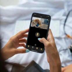 Trifo Ollie Pet - Aspirateur Robot Avec IA Et Assainisseur D'air Intégré - Convient à Tous Les Types De Poils, Y Compris Les Poils D'animaux Et La Poussière -Nettoyage Produits Boutique 1200x1200 1127