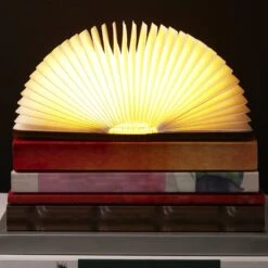 LIVAIA Lampe De Lecture Pliable à LED Avec Lumière LED Douce Et Couverture De Livre Magnétique - Avec Cordon De Charge - 12 X 9 X 2,5 Cm - Bois - Marron Foncé 14 LIVAIA Lampe De Lecture Pliable à LED Avec Lumière LED Douce Et Couverture De Livre Magnétique - Avec Cordon De Charge - 12 X 9 X 2,5 Cm - Bois - Marron Foncé -Nettoyage Produits Boutique 1200x1200 1540