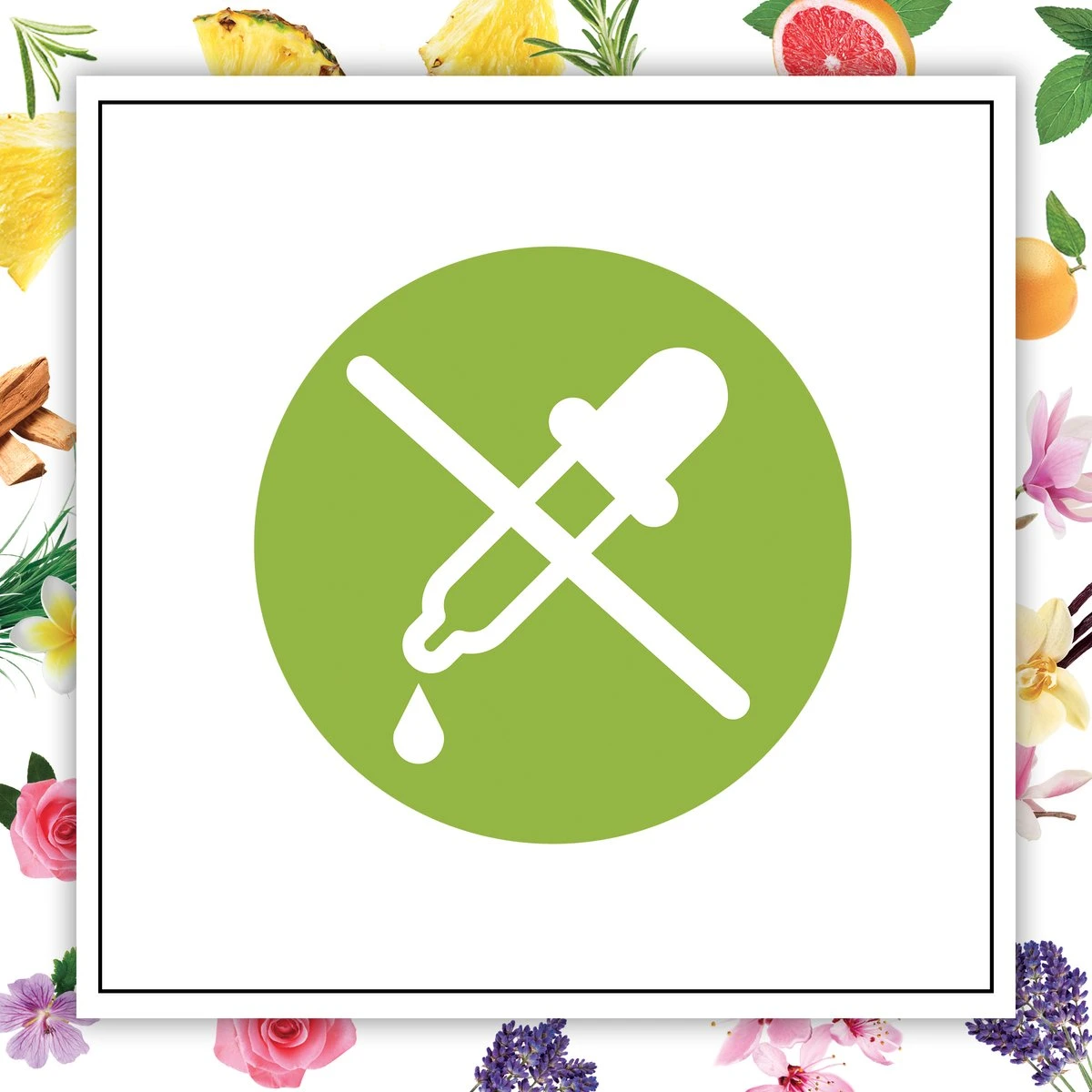 Botanica By Air Wick Bougie Parfumée - Magnolia De Himalaya & Vanille - 500gr 6 Botanica By Air Wick Bougie Parfumée - Magnolia De Himalaya & Vanille - 500gr – Image 4