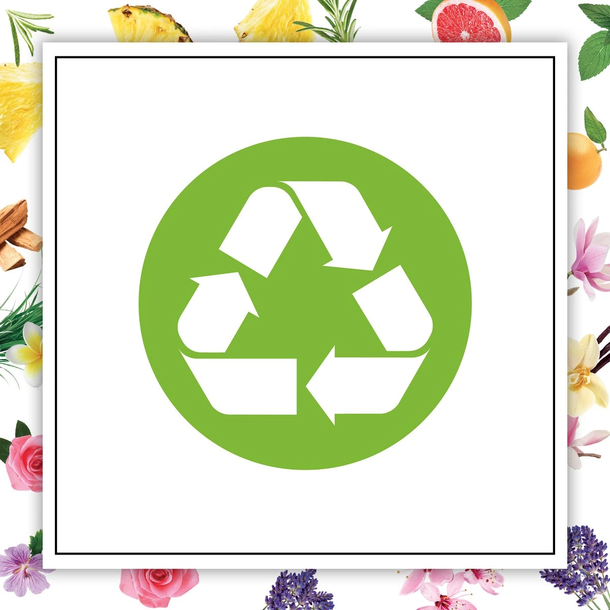 Botanica By Air Wick Bougie Parfumée - Magnolia De Himalaya & Vanille - 500gr 7 Botanica By Air Wick Bougie Parfumée - Magnolia De Himalaya & Vanille - 500gr – Image 5