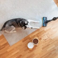 Cecotec Conga Rockstar 3000 Advance Ergowet Connected IA. 4-en-1, 680w Et 26kPa, 230 AW, Intelligence Artificielle, Jalisjagdbor -Nettoyage Produits Boutique 1200x1200 977