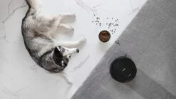 Aspirateur Robot Cecotec 4en1 - Commande Vocale - Programmable - Extra Bas - Poils D'animaux - Avec Fonction De Nettoyage - Station De Charge Automatique -Nettoyage Produits Boutique 1200x675 1