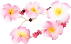 Bahama & Co Air Freshener Waikiki Wild Hibiscus Chaîne Parfumée