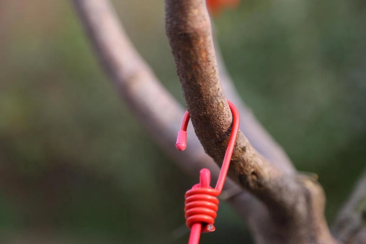SY Goods - Corde à Linge - Corde à Linge - Corde à Linge - Corde à Linge - Séchoir - Corde à Vêtements - Élastique - Élastique - Cordes à Linge - Extensible - Set - Rouge - Convient Pour Le Camping - Voyages - Camping - Balcon - Max 3,6 Mètres 5 SY Goods - Corde à Linge - Corde à Linge - Corde à Linge - Corde à Linge - Séchoir - Corde à Vêtements - Élastique - Élastique - Cordes à Linge - Extensible - Set - Rouge - Convient Pour Le Camping - Voyages - Camping - Balcon - Max 3,6 Mètres – Image 3