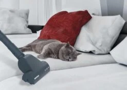 Hoover Telios Plus TE70 TE75 PETS 3,5 L Aspirateur Réservoir Cylindrique Sec 700 W Sac à Poussière -Nettoyage Produits Boutique 1200x848 7