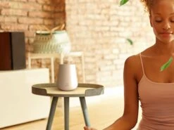 Air Wick Essential Mist - Roses Apaisantes - 1 Kit De Démarrage Blanc + 2 Recharges -Nettoyage Produits Boutique 1200x900 46