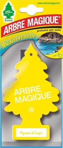 Désodorisant Automatique Arbre Magique - Wonderboom - Désodorisant - 6 Pièces - Rafraichisseurs D'air Pour La Voiture - Arbre à Parfum -
