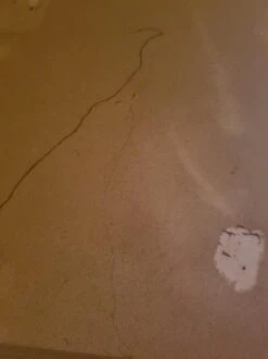 WinwinCLEAN Allesputzer 1000ML Avec Vaporisateur, Nettoyant Polyvalent, Tout Usage, Nettoyant 100% Biologique -Nettoyage Produits Boutique 899x1200 7