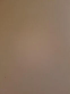 WinwinCLEAN Allesputzer 1000ML Avec Vaporisateur, Nettoyant Polyvalent, Tout Usage, Nettoyant 100% Biologique -Nettoyage Produits Boutique 899x1200 8