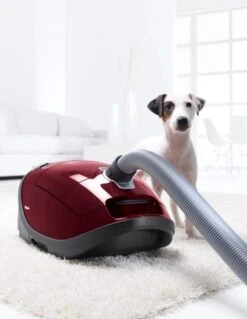 Miele Complete C3 Cat&Dog PowerLine 4,5 L Aspirateur Réservoir Cylindrique Sec 1100 W Sac à Poussière -Nettoyage Produits Boutique 930x1200 2